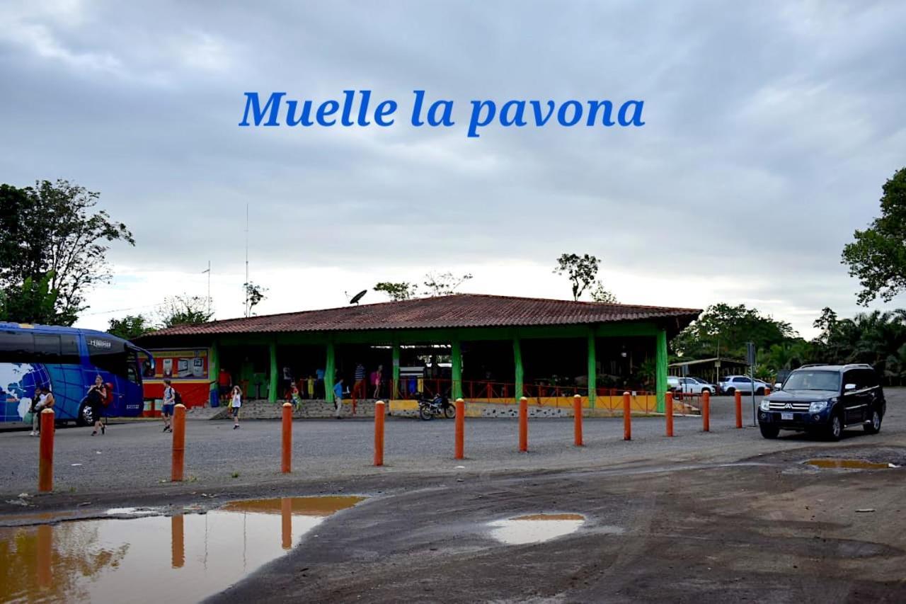 Casa Turtle Bogue Hotel Tortuguero Exterior foto