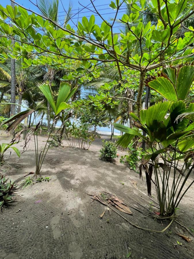 Casa Turtle Bogue Hotel Tortuguero Exterior foto