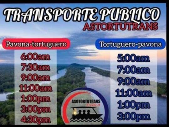Casa Turtle Bogue Tortuguero Exterior foto