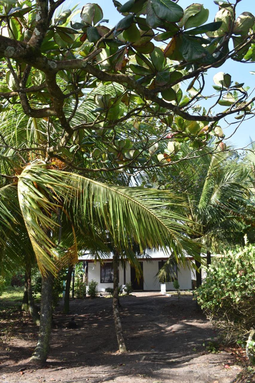 Casa Turtle Bogue Hotel Tortuguero Exterior foto