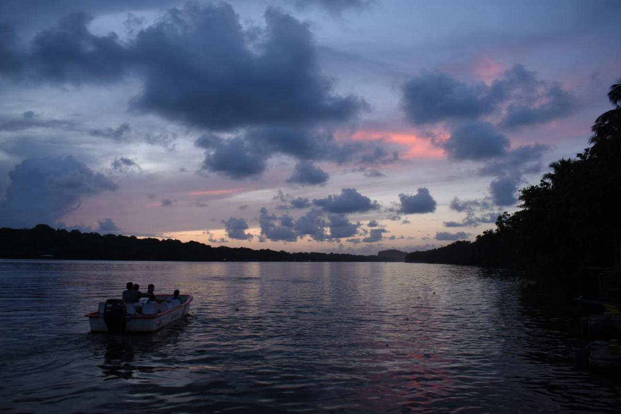 Casa Turtle Bogue Hotel Tortuguero Exterior foto