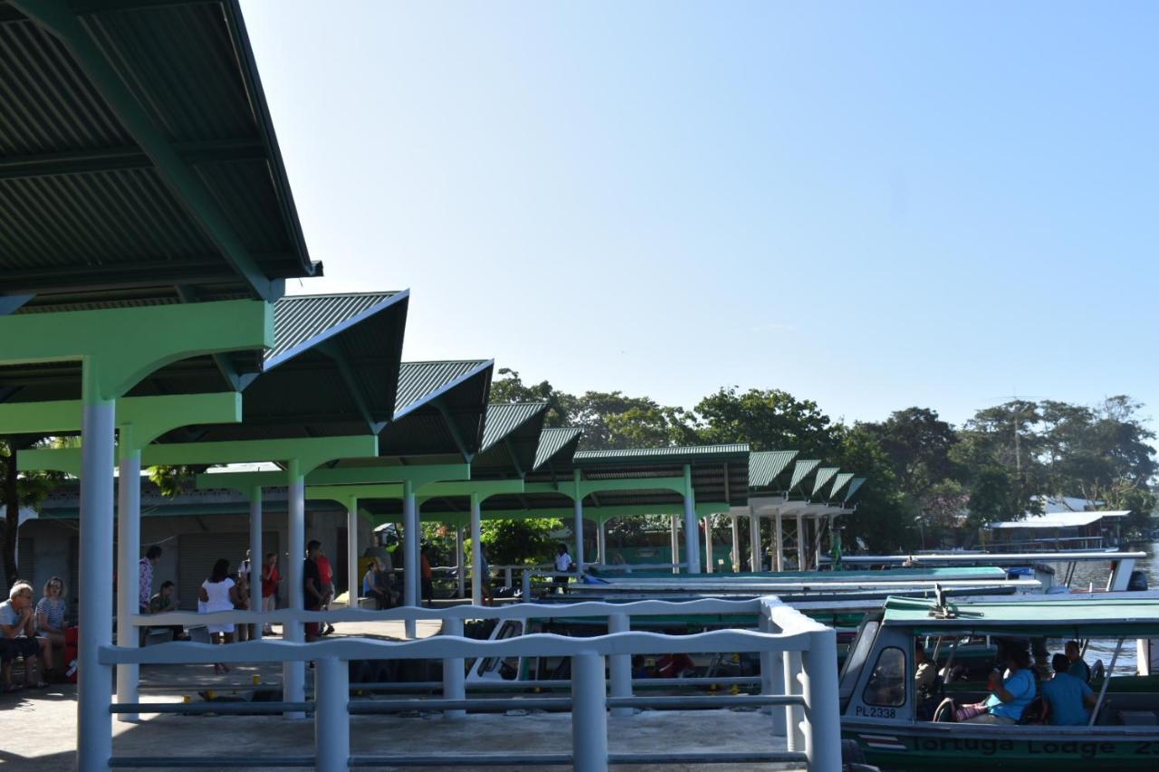 Casa Turtle Bogue Hotel Tortuguero Exterior foto