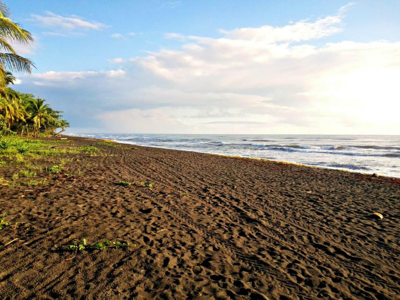 Casa Turtle Bogue Hotel Tortuguero Exterior foto