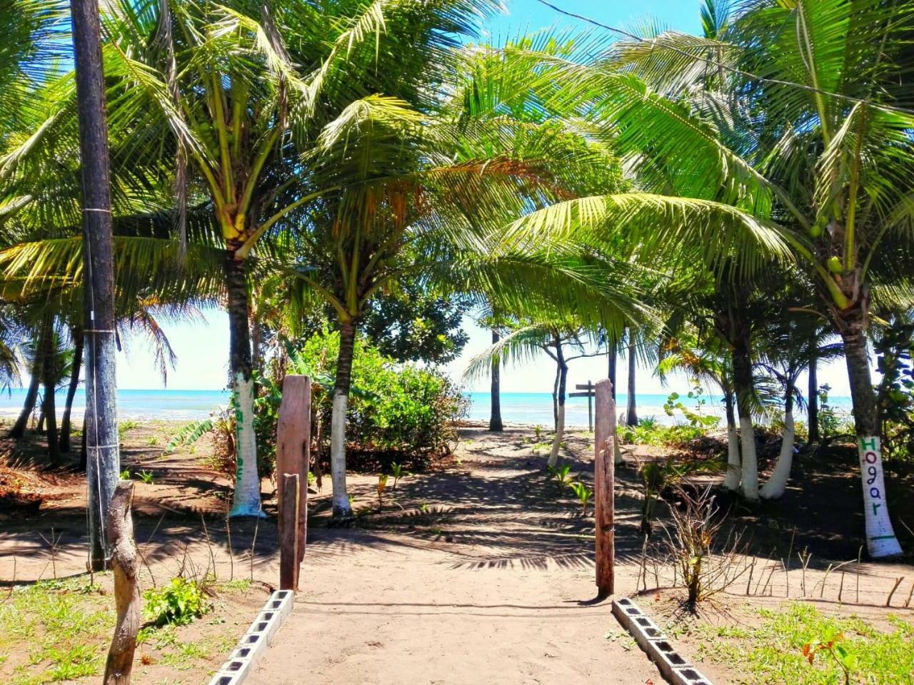 Casa Turtle Bogue Hotel Tortuguero Exterior foto