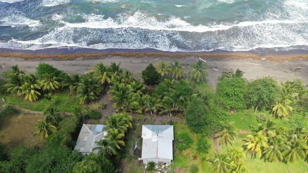 Casa Turtle Bogue Hotel Tortuguero Exterior foto