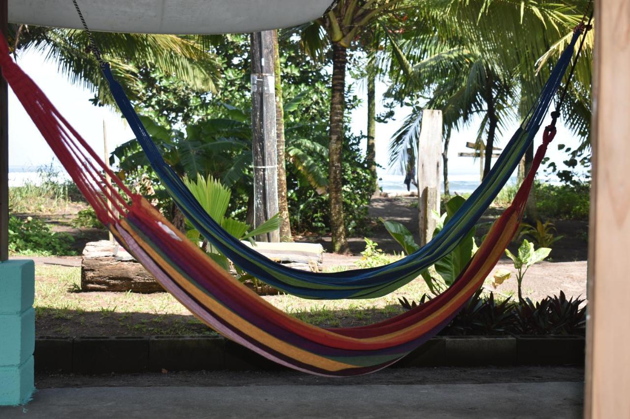 Casa Turtle Bogue Hotel Tortuguero Exterior foto